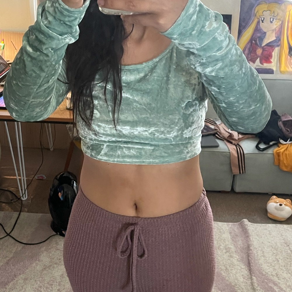 Cropped urban outfitters velvet top